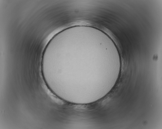 X0000111220861200907231439