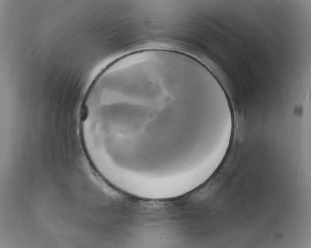 X0000111220862200907231439