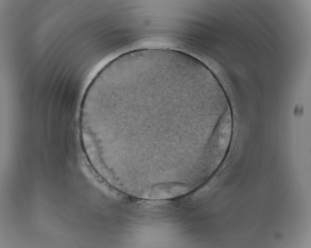 X0000111220864200907231439