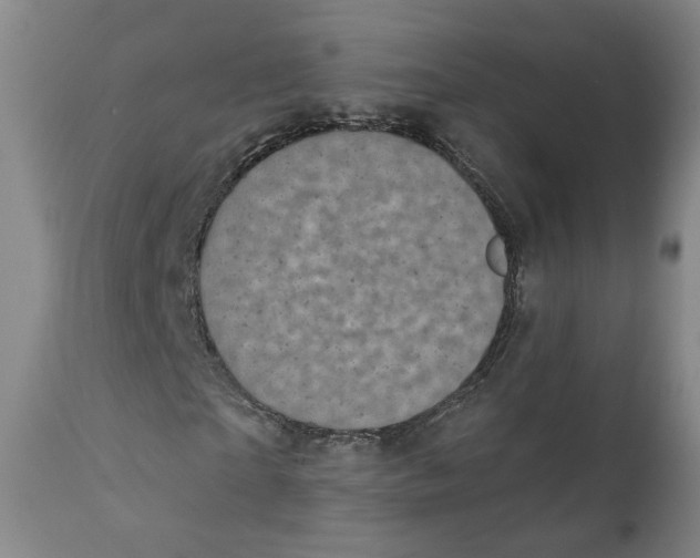 X0000111220865200907231438