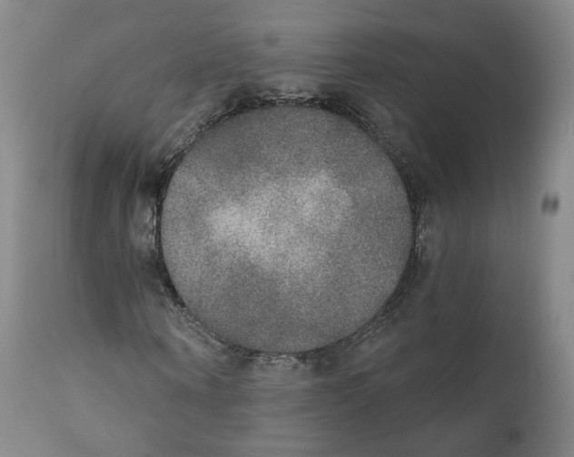 X0000111220866200907231438