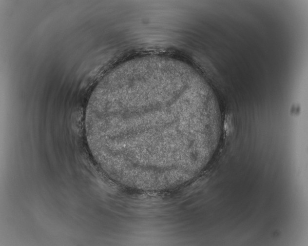 X0000111220867200907231438