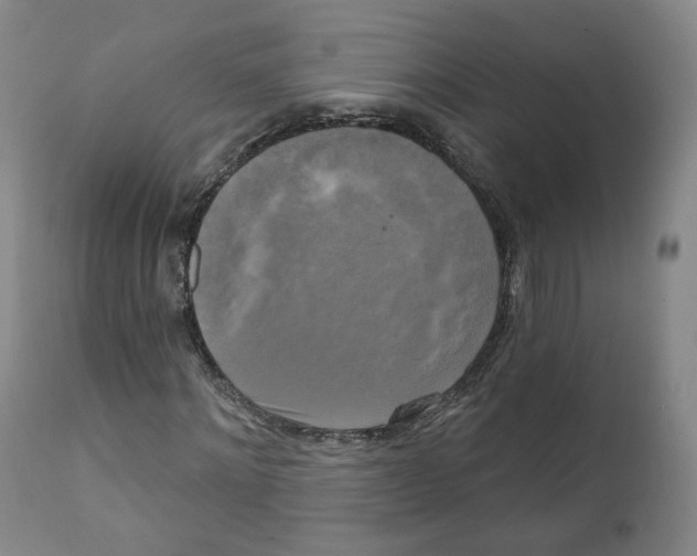 X0000111220868200907231438