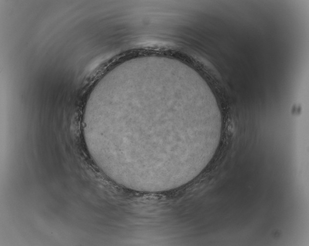 X0000111220869200907231438