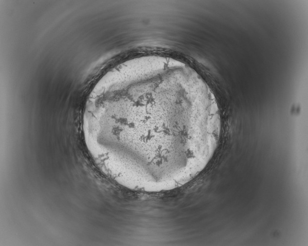X0000111220870200907231438