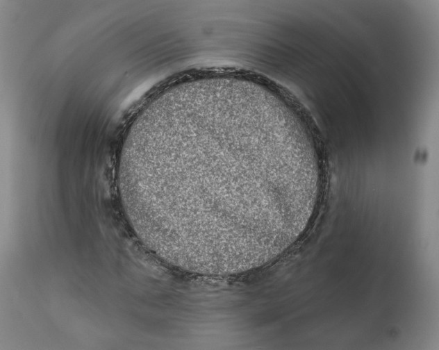 X0000111220871200907231438