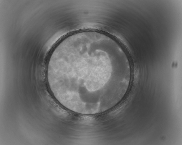 X0000111220878200907231438