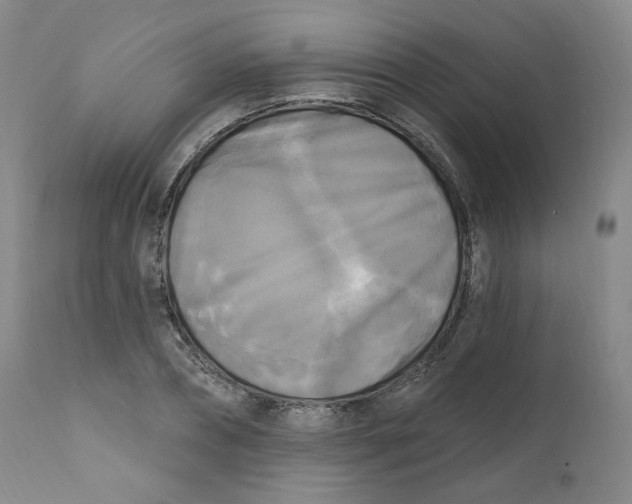 X0000111220882200907231438