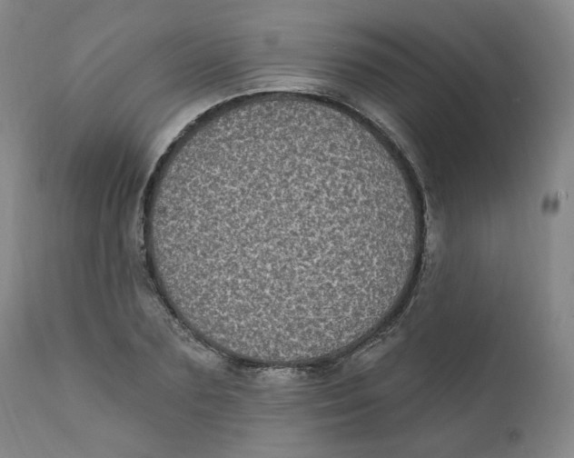 X0000111220883200907231438