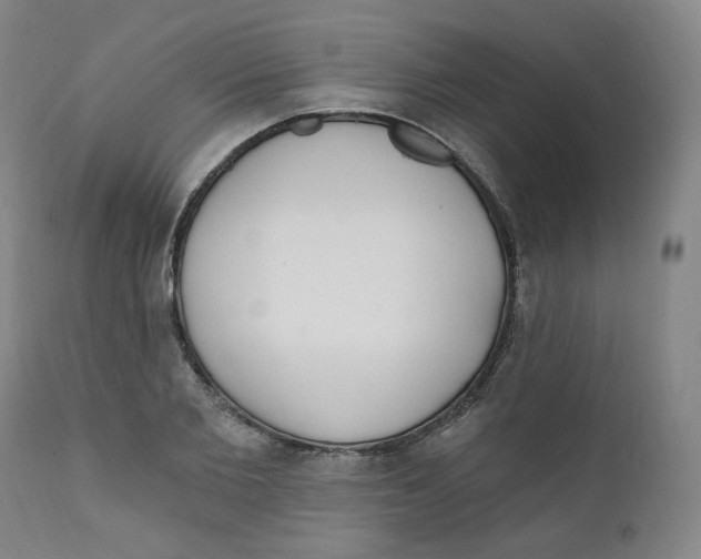 X0000111220885200907231438