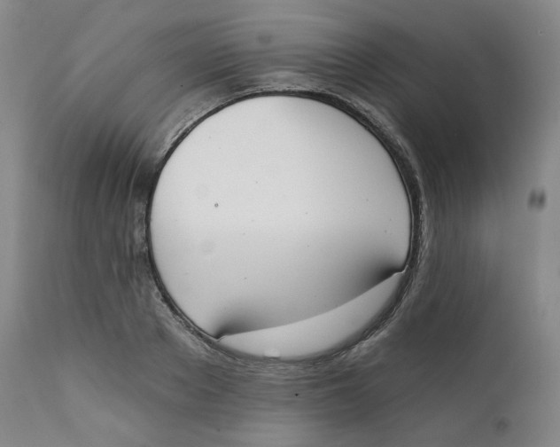 X0000111220889200907231438