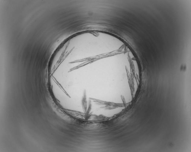 X0000111220891200907231438