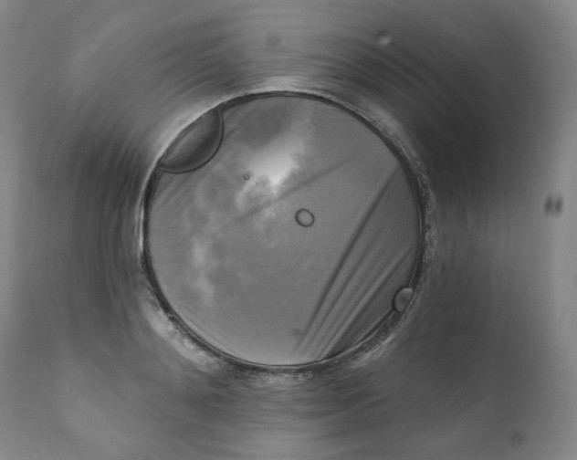 X0000111220892200907231438