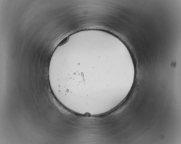 X0000111220897200907231438