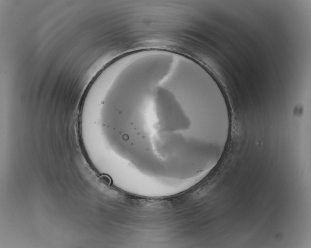 X0000111220899200907231438