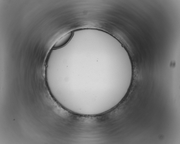 X0000111220900200907231438