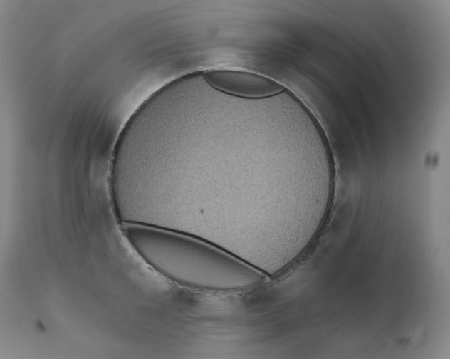 X0000111220901200907231438