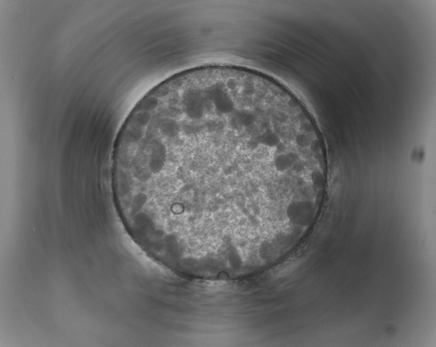 X0000111220903200907231438
