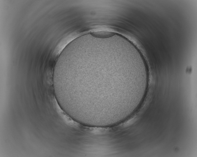 X0000111220905200907231438
