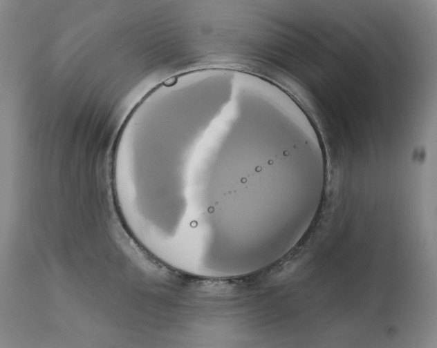 X0000111220907200907231438