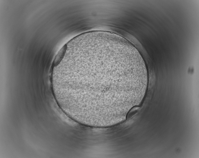 X0000111220908200907231438