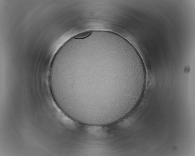 X0000111220909200907231438
