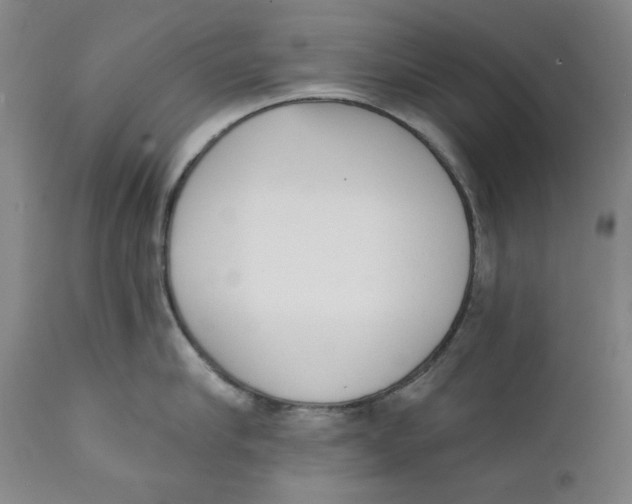 X0000111220910200907231438