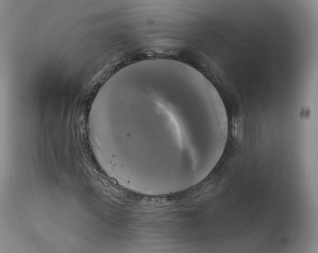 X0000111220915200907231437