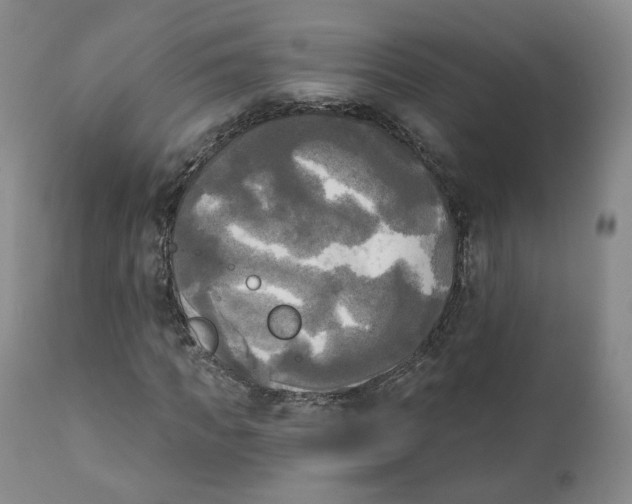 X0000111220917200907231437