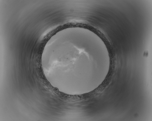 X0000111220919200907231437