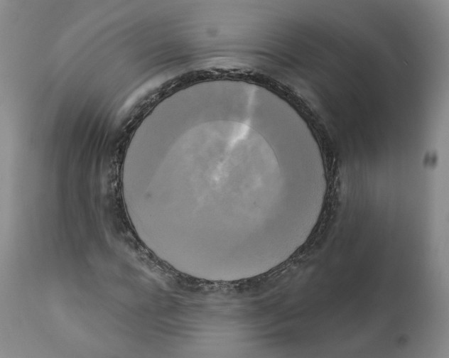 X0000111220920200907231437