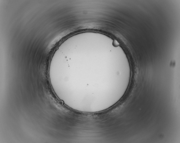 X0000111220922200907231437