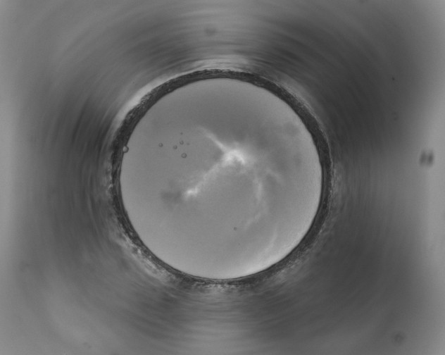 X0000111220923200907231437