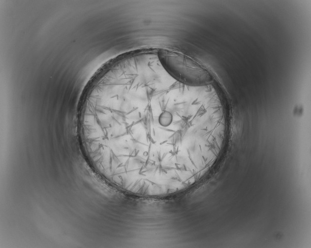 X0000111220924200907231437