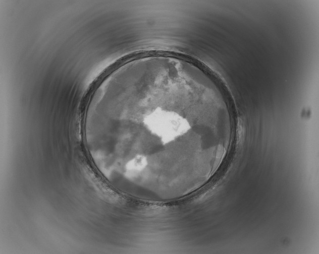 X0000111220925200907231437