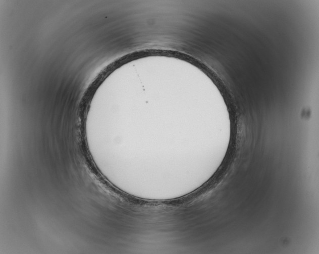 X0000111220926200907231437