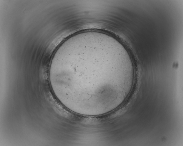 X0000111220929200907231437