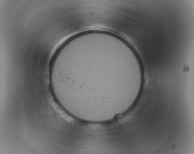 X0000111220931200907231437