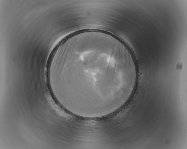 X0000111220932200907231437