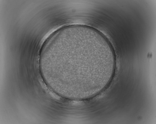 X0000111220933200907231437