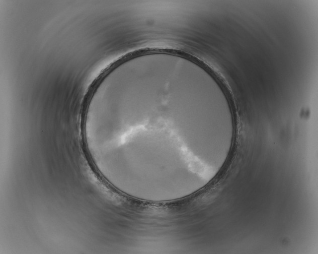 X0000111220935200907231437