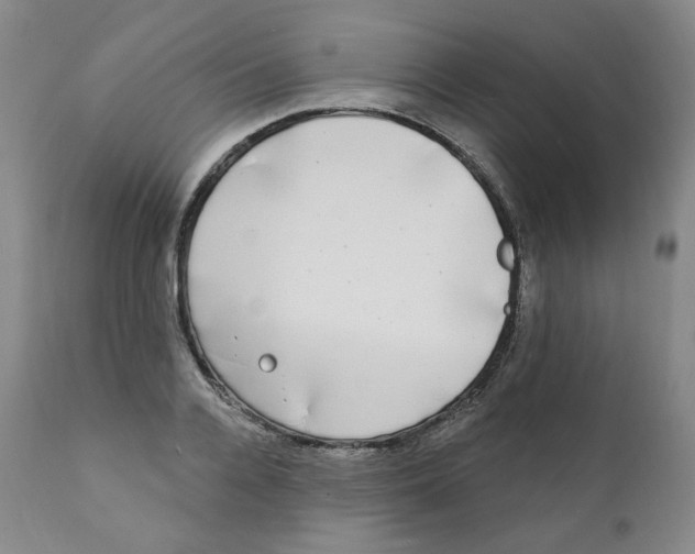 X0000111220936200907231437