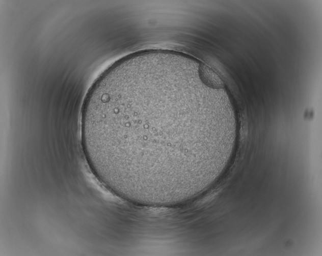 X0000111220940200907231437