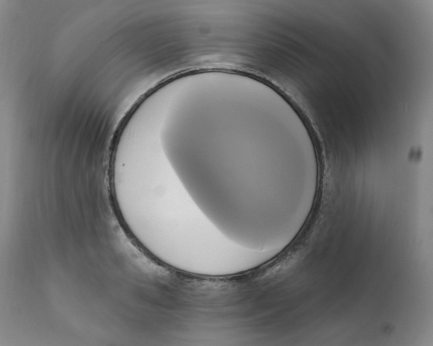 X0000111220941200907231437