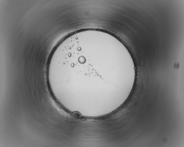 X0000111220942200907231437