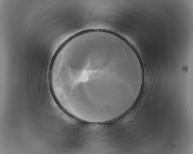 X0000111220943200907231437