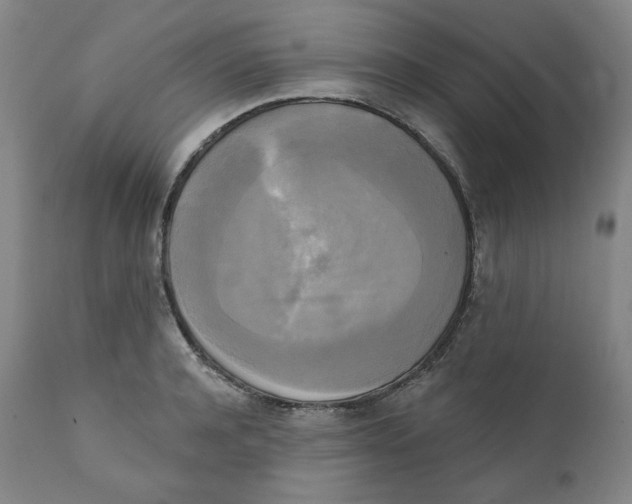 X0000111220944200907231437