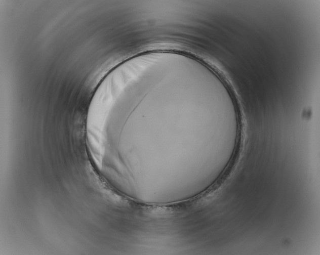 X0000111220945200907231437
