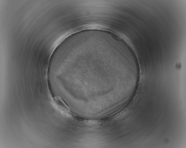 X0000111220946200907231437