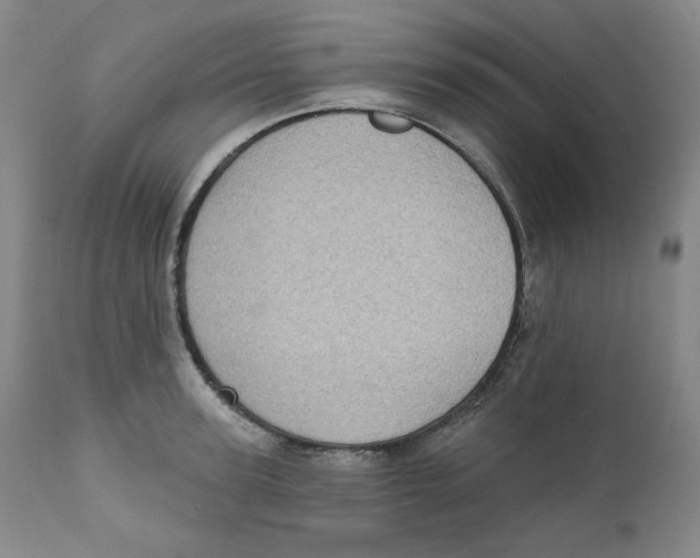 X0000111220947200907231437